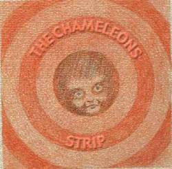 The Chameleons : Strip